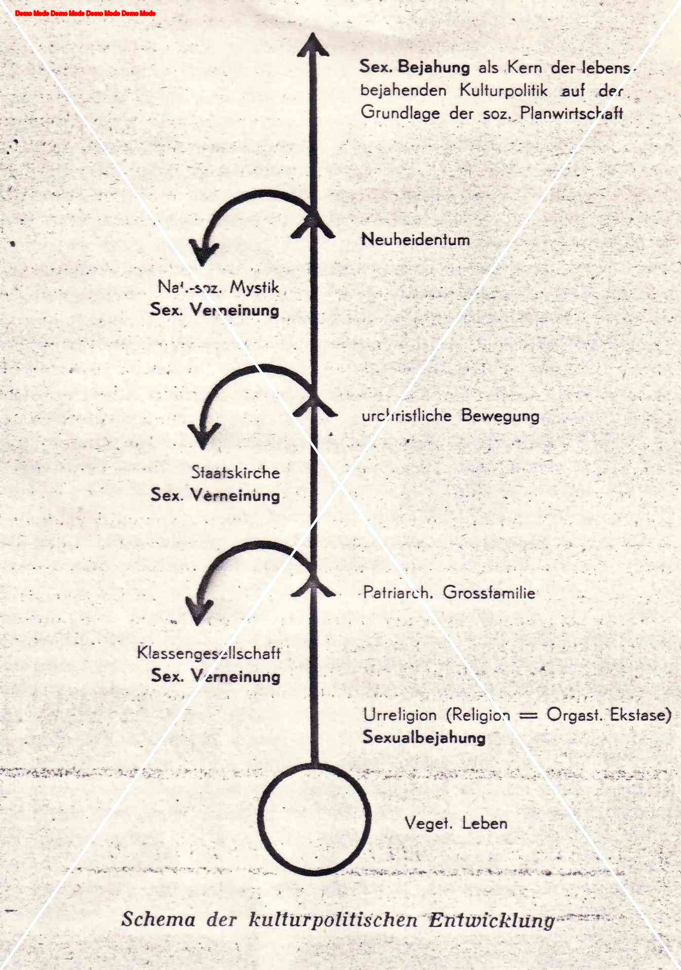 Schema der kulturpolitischen Entwicklung